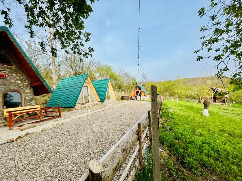 Catunu' Lui Emil Villa Carbunesti Ngoại thất bức ảnh